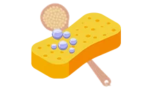 sponges and brushes